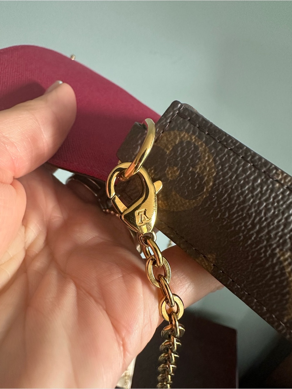 Louis Vuitton Monogram Pochette Félicie One Insert & dust bag - Picture 15 of 17